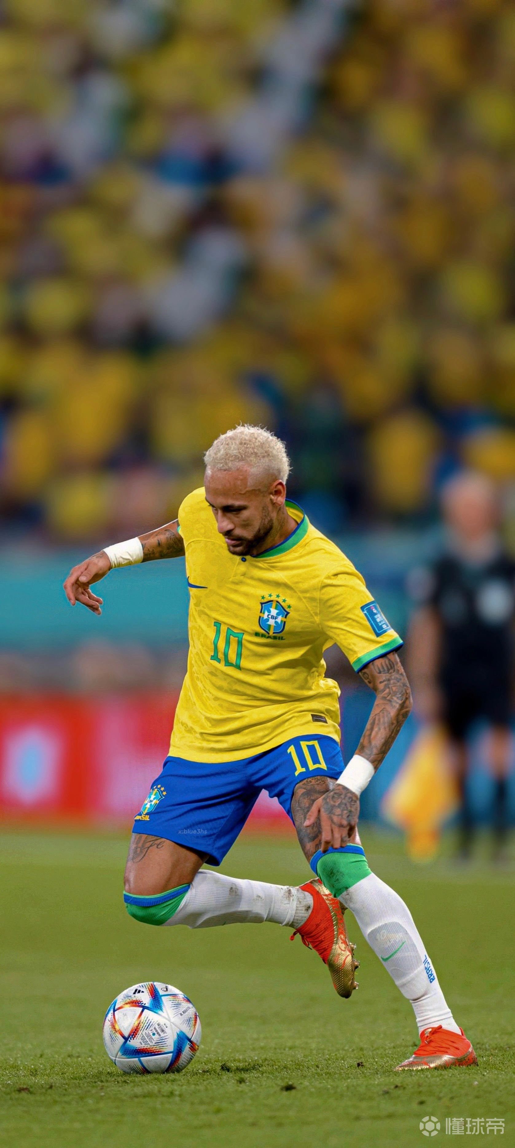 与其追逐不 与其追逐不