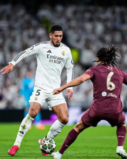 人生分支 人生分支